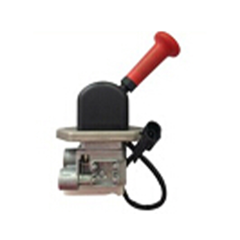 Valvola di controllo manuale con interruttore elettronico da 24 V